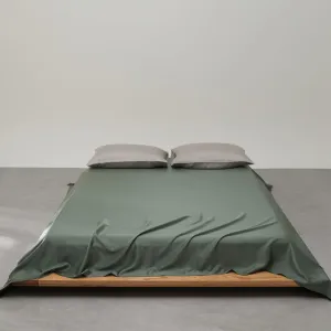 AETVRNI Luxury 3 Pieces Silky Sheet Set for Hot Sleepers, Silk Feel Polyester Sheet Set (1 Flat Sheet 2 Pillowcases), Super Soft Solid Color Bedding for Spring Summer Fall Winter,B,Twin/Twin XL