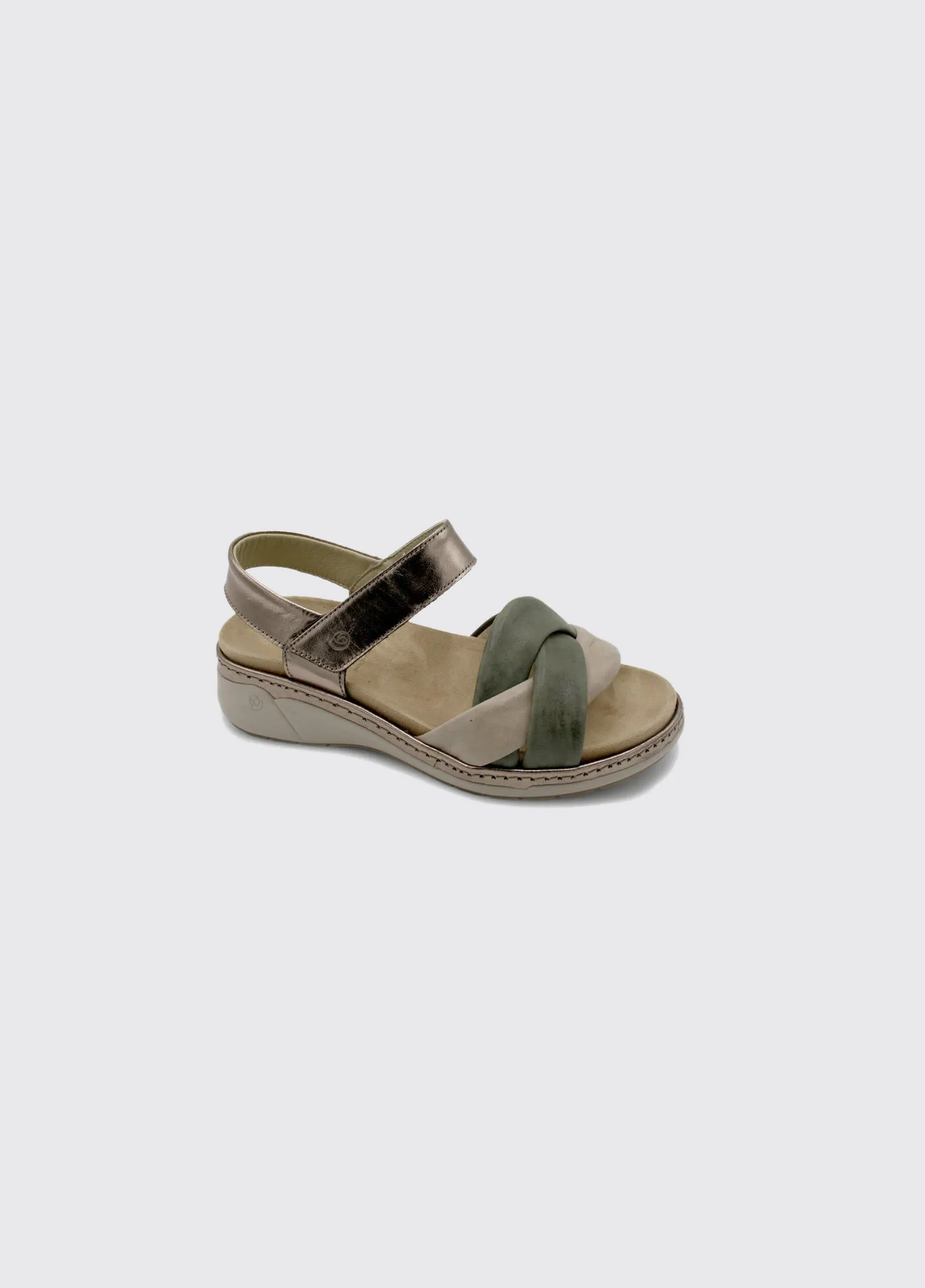 Monterrey - Olive